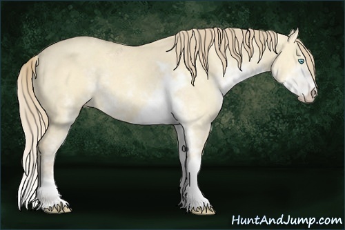 Horse Color:Perlino Dun Sabino 