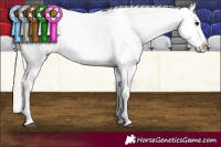 Horse Color:Silver Buckskin Splash Snowcap 