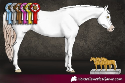 Horse Color:Gold Champagne Appaloosa 