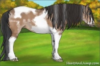 Horse Color:Bay Dun Tobiano Frame 