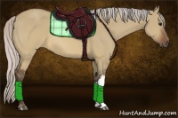 Horse Color:Silver Brown Dun