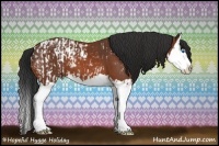 Horse Color:Bay Splash Blanket  and Brown Splash 