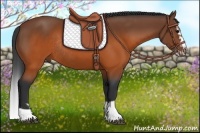 Horse Color:Brown Splash Frame Rabicano