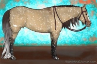 Horse Color:Brown Dun Splash Frame Appaloosa Rabicano Brindle 