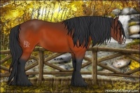 Horse Color:Brown Splash Frame Rabicano