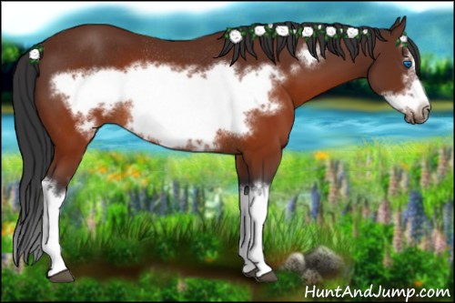 Horse Color:Brown Splash Frame Rabicano 