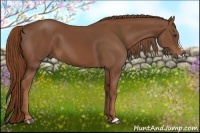 Horse Color:Chestnut Frame