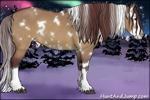 Horse Color:White Spotted Chocolate Buckskin Dun Splash