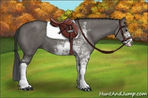 Horse Color:Grullo Sabino