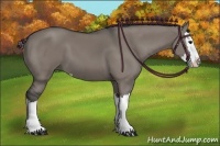 Horse Color:Grullo Sabino Splash