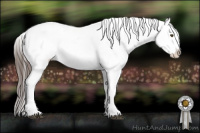 Horse Color:Liver Chestnut Ice Sabino Blanket