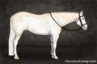 Horse Color:Cremello Splash  and Cremello Splash Frame 