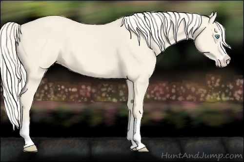 Horse Color:Cremello Splash  and Cremello Splash 