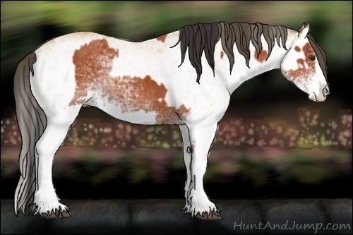 Horse Color:White Spotted Bay Splash and White Spotted Buckskin Splash