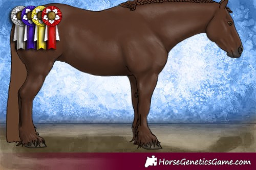 Horse Color:Gray Chestnut 