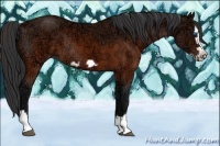 Horse Color:Brown Ice Splash Frame Rabicano 