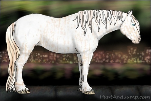 Horse Color:Buckskin Roan Pearl Blanket  and Buckskin Roan Pearl Blanket 