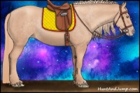 Horse Color:Gold Champagne 