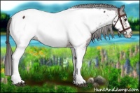 Horse Color:White Spotted Brown Near Fewspot 