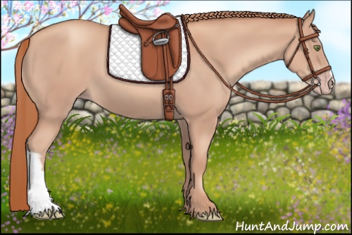 Horse Color:Gold Champagne 