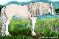 Horse Color:Cremello Splash  and Perlino Splash 
