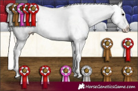 Horse Color:White Spotted Silver Black Appaloosa
