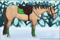 Horse Color:Amber Champagne 