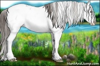 Horse Color:White Spotted Liver Chestnut Splash 