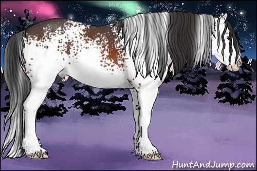 Horse Color:White Spotted Brown Roan Splash