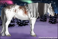 Horse Color:White Spotted Brown Roan Splash 