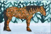 Horse Color:Smoky Black