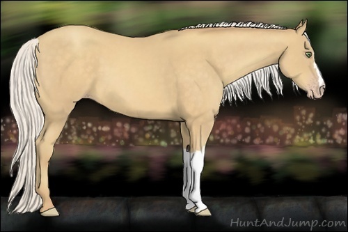 Horse Color:Silver Amber Cream Champagne 