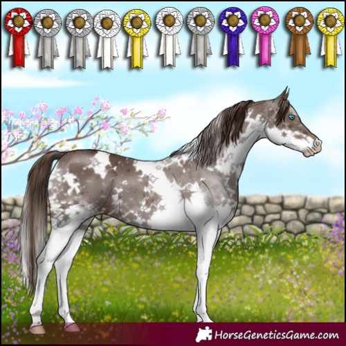 Horse Color:White Spotted Liver Chestnut Splash 