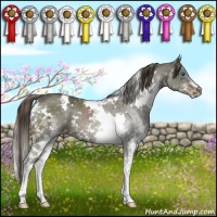 Horse Color:White Spotted Liver Chestnut Splash 