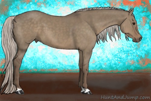 Horse Color:Silver Grullo 