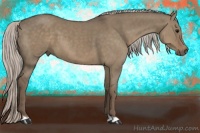 Horse Color:Silver Grullo 