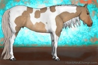 Horse Color:Silver Brown Dun Tobiano Rabicano