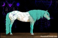 Horse Color:Watercolor Buckskin Appaloosa 