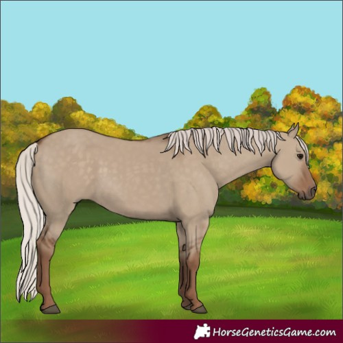 Horse Color:Silver Grullo