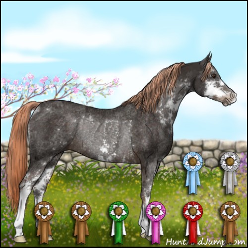 Horse Color:Liver Chestnut Sabino Rabicano