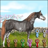 Horse Color:Liver Chestnut Sabino Rabicano 