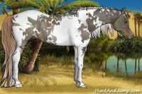 Horse Color:White Spotted Liver Red Dun Tobiano Rabicano