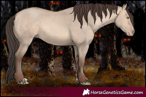 Horse Color:Amber Champagne Dun 