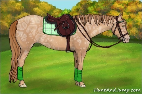 Horse Color:Gold Champagne Ice 