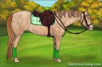 Horse Color:Gold Champagne Ice 