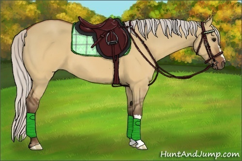 Horse Color:Silver Brown Dun 