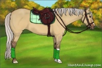 Horse Color:Silver Brown Dun