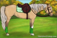 Horse Color:Silver Bay Dun