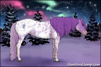 Horse Color:Watercolor Chestnut Ice Appaloosa 