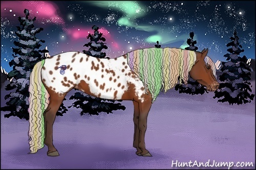 Horse Color:Painted Silver Bay Appaloosa 